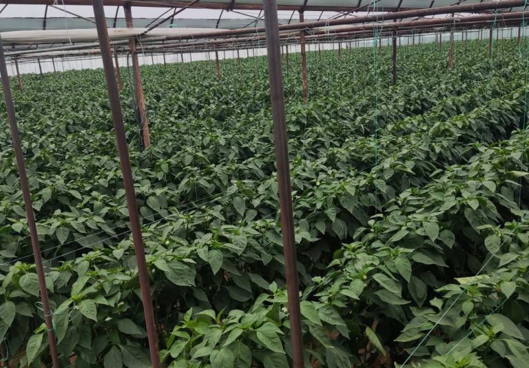 0-02-05-206b9154c5639a984517e77dafcee969a6536bbfa0b9aa0fb1260a72ce8f715e_fec93e3a0b898b30