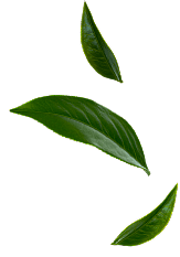 banner-leaf.png